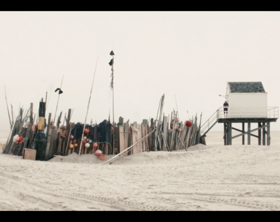 Island Painter 2 - Leo