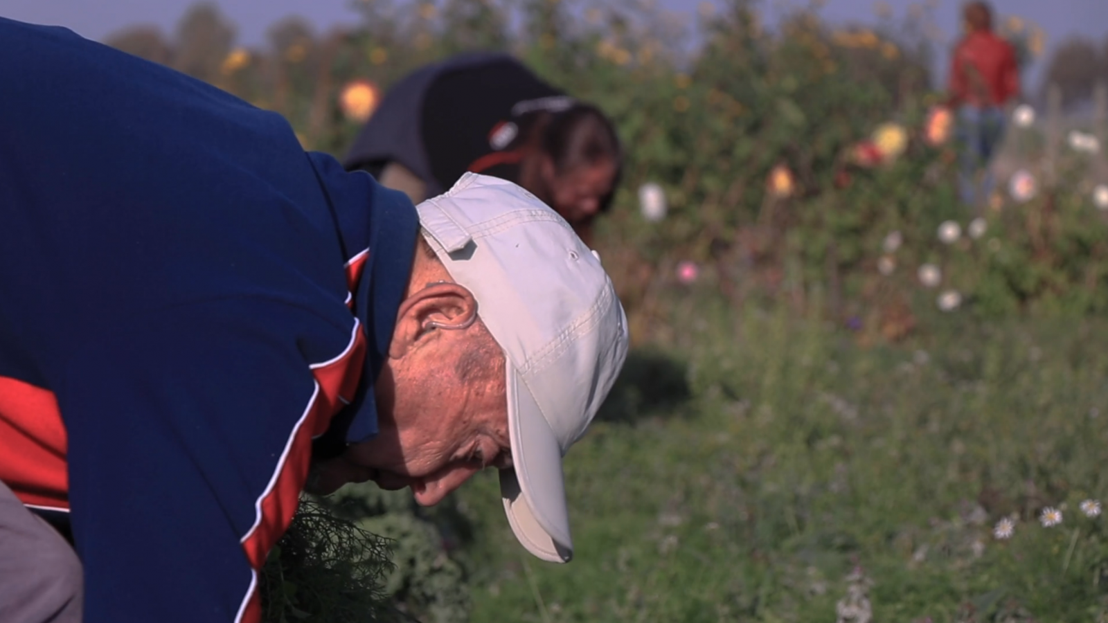 Screenshot 2019-03-04 10-19-42 - Tom Roggen