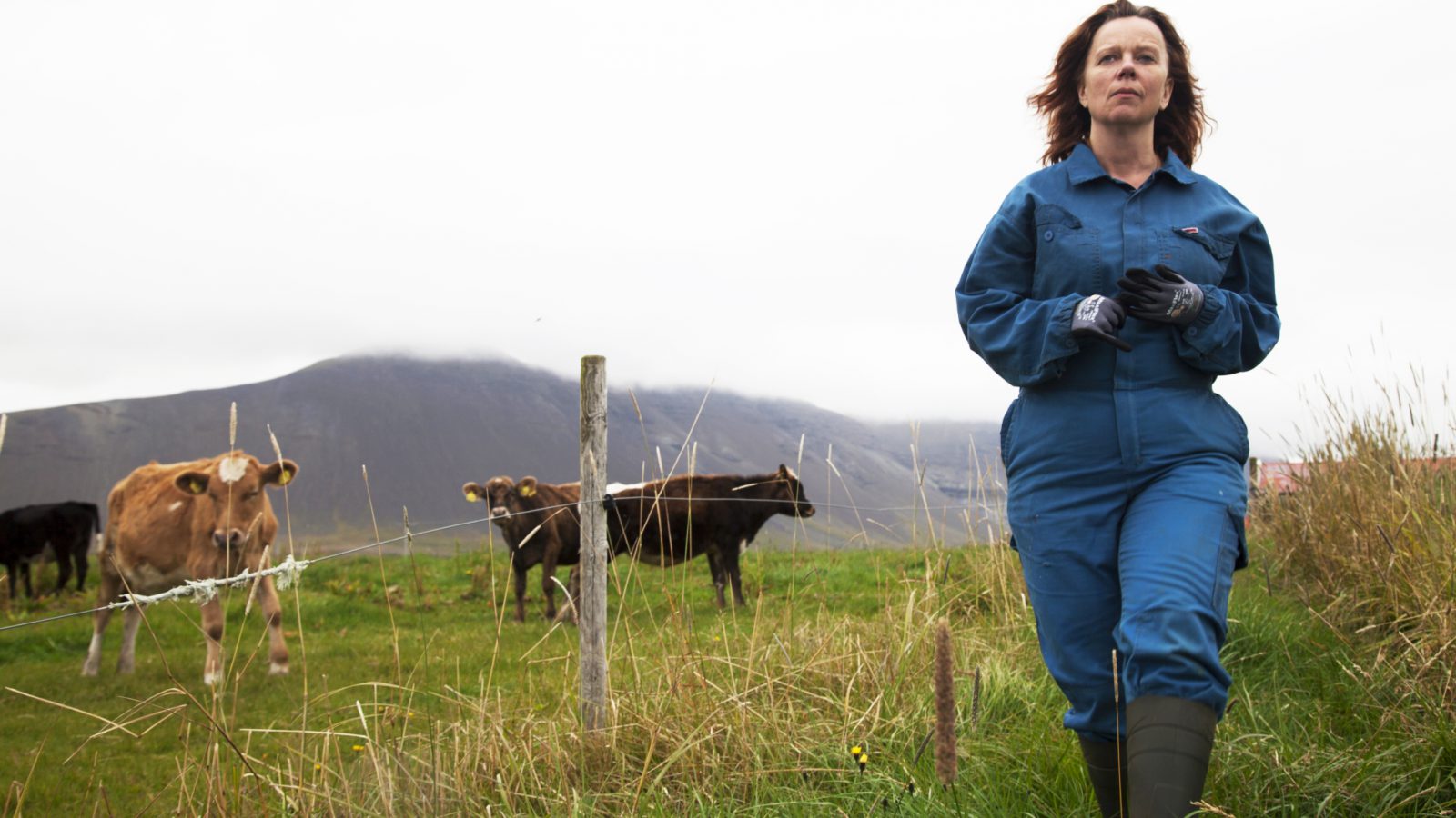 Mj-lk_st_1_jpg_sd-high