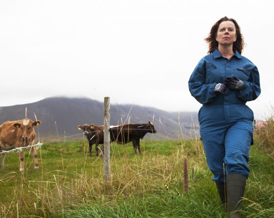 Mj-lk_st_1_jpg_sd-high