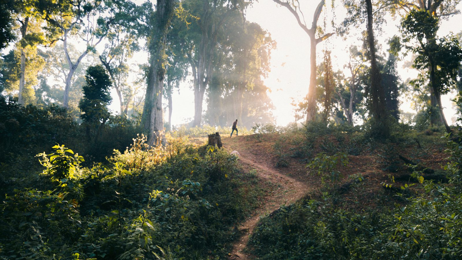 sgc-coffee-path-ethiopia-full kopie