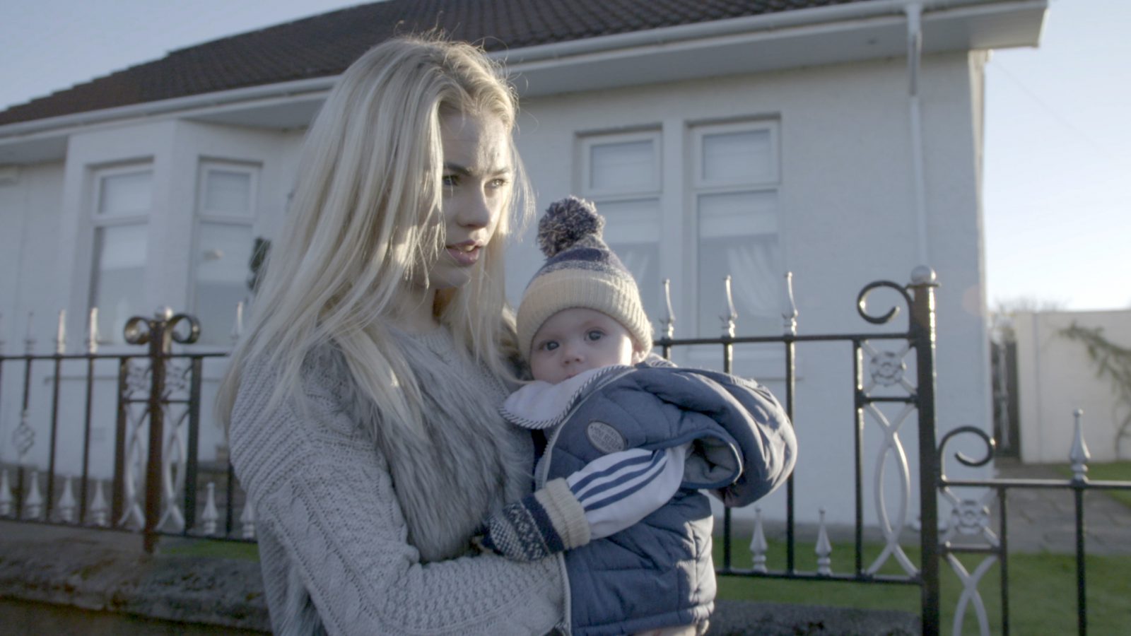 4-Scheme Birds_Hallin