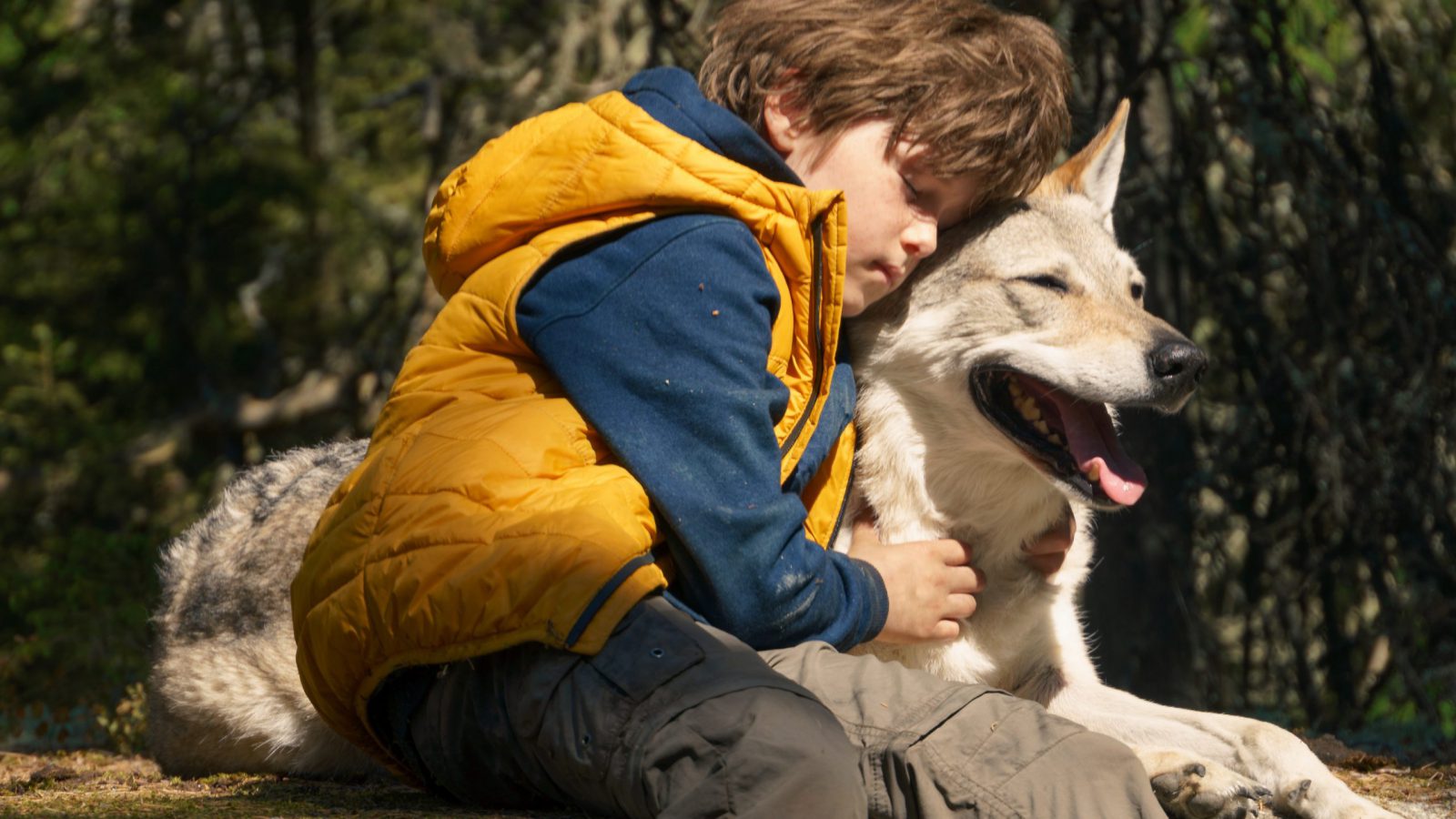 09 BrunoTaiki-6500111 Gerko Jonker nog lagere res kopie (1)