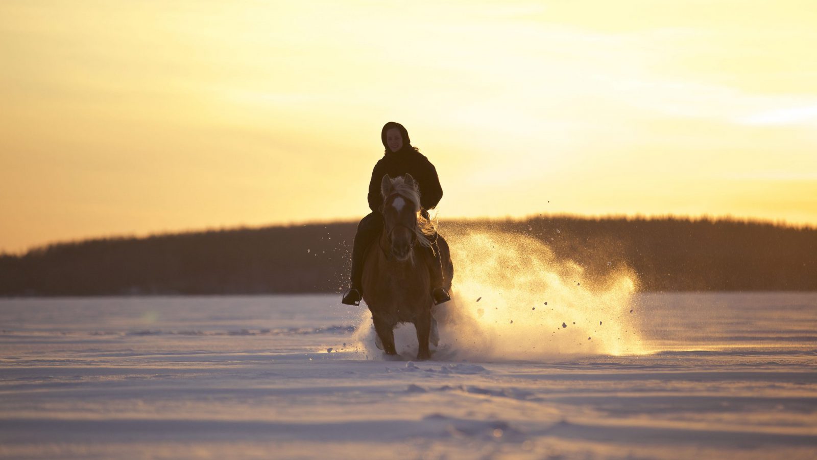 IMG_8994_landofhope_joukopiipponen