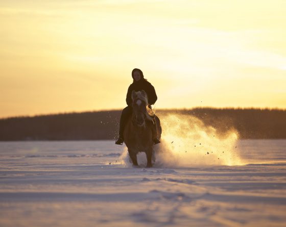 IMG_8994_landofhope_joukopiipponen