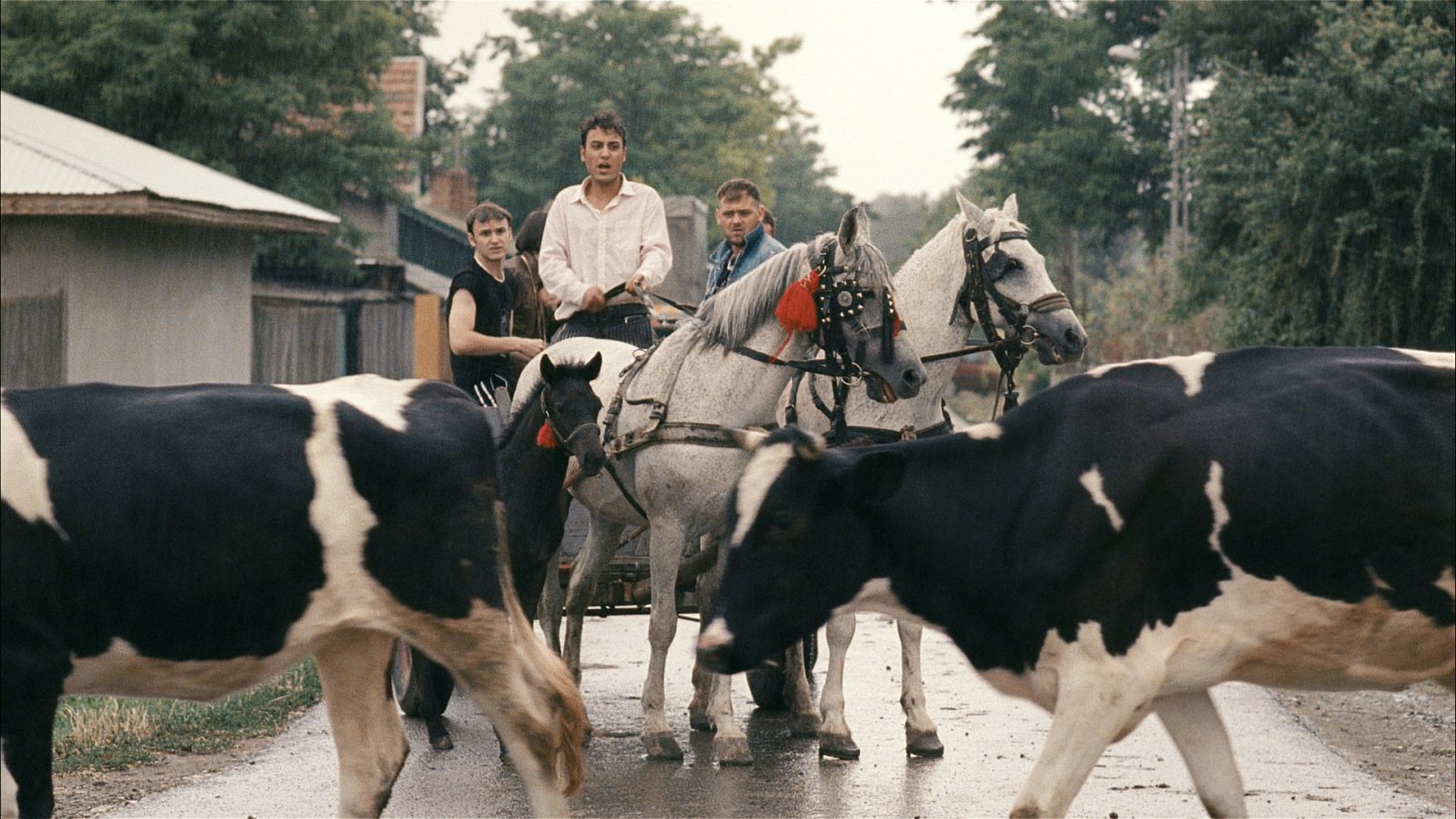 A Night in Tokoriki still 1