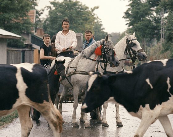 A Night in Tokoriki still 1