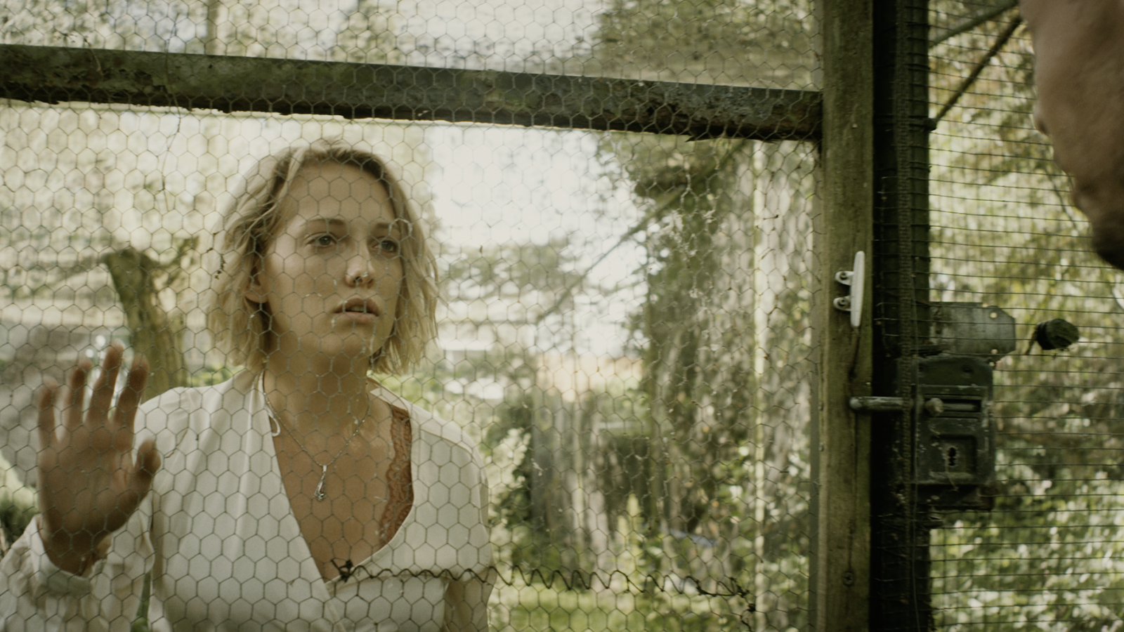 Screenshot 2021-08-30 at 11-36-22