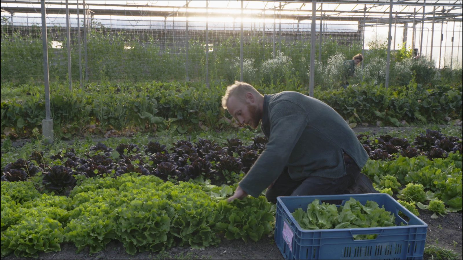 Still_weguitdestad3(1)