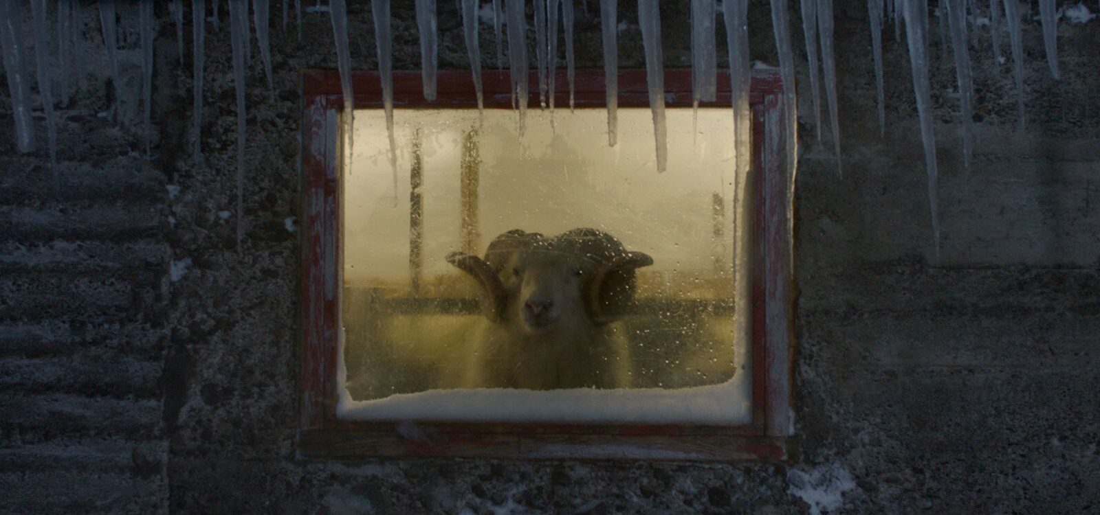 Lamb_st_1_jpg_sd-low