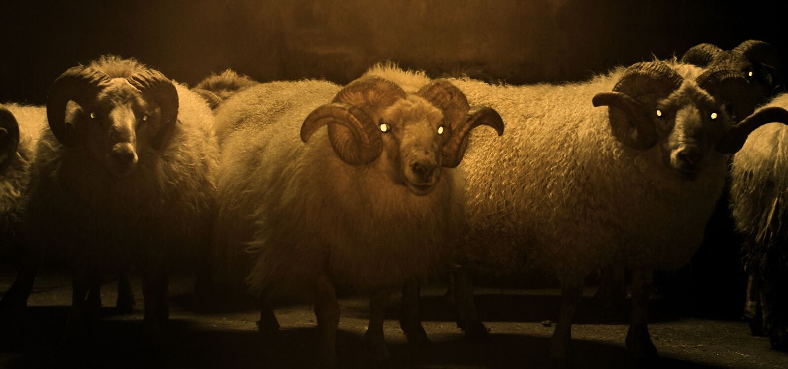 Lamb_st_4_jpg_sd-low