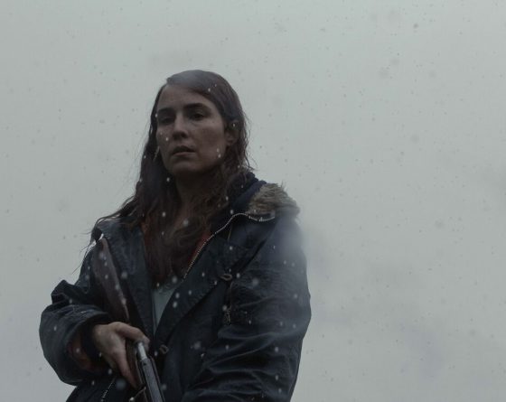 Lamb_st_7_jpg_sd-low