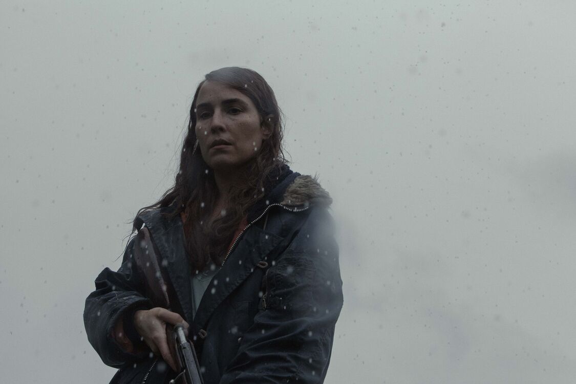 Lamb_st_7_jpg_sd-low